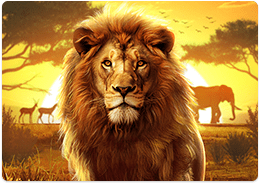 非洲大冒险 Safari Wilds 头图
