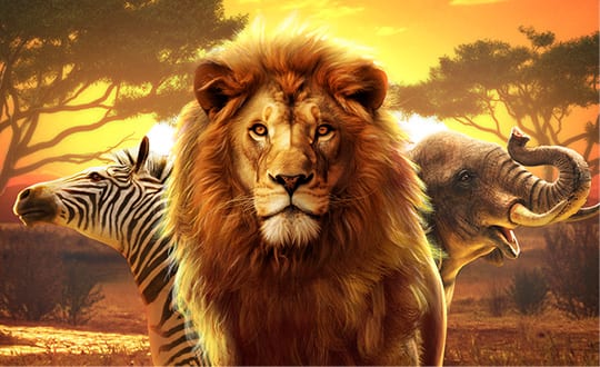 非洲大冒险 Safari Wilds 缩略图