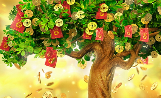 摇钱树 Tree Of Fortune 缩略图